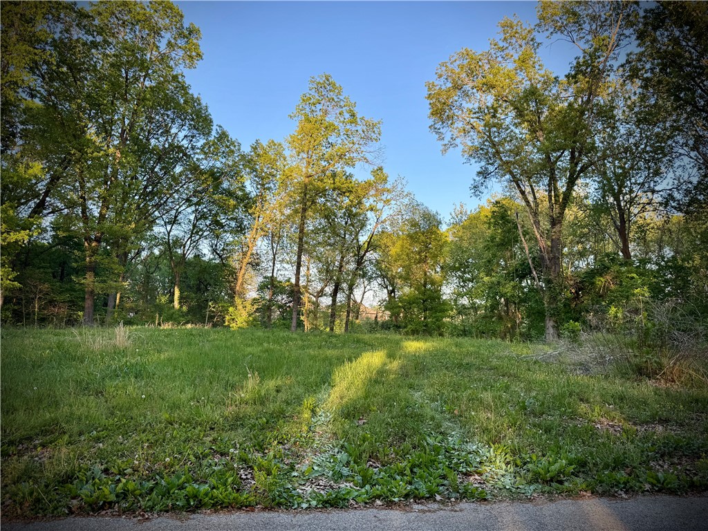 Medlin Sub Pea Ridge - Land