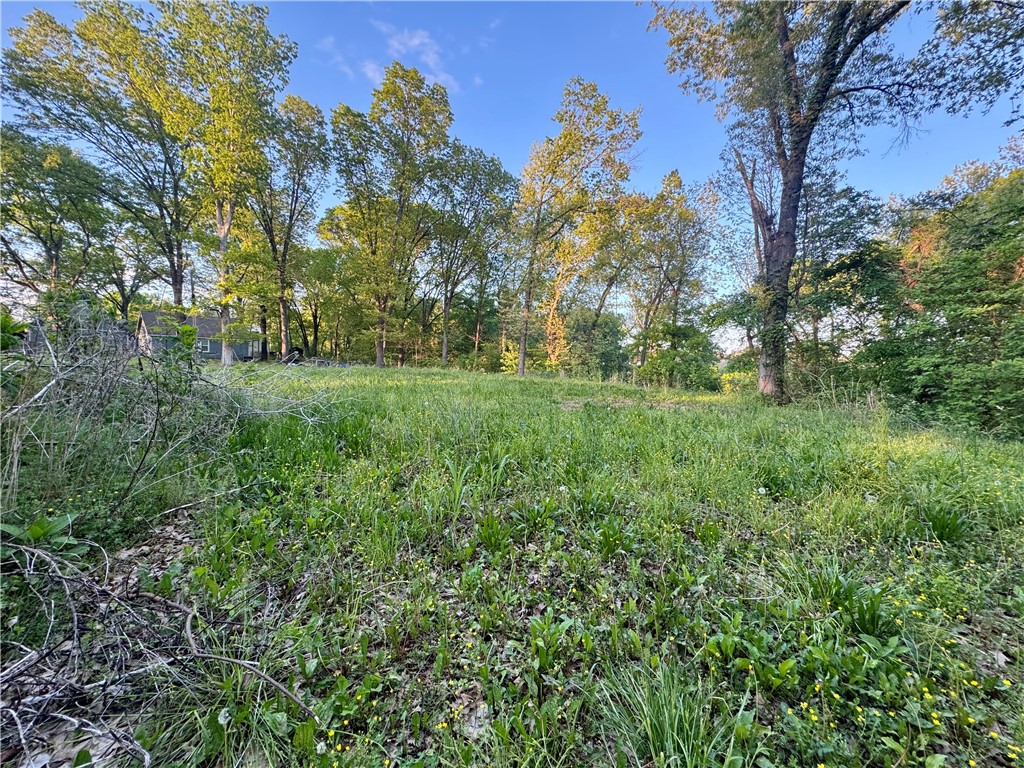 Medlin Sub Pea Ridge - Land