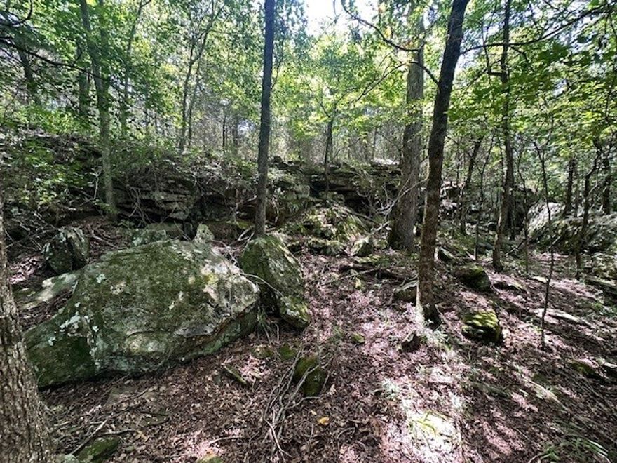 Back on the market at no fault of the Sellers! This mostly wooded property features a beautiful creek fed by Lincoln Lake that winds through the lower portion of the land, along with scenic overlook and cave like areas. It's an ideal spot for hunting, outdoor recreation, or living off the grid. The property includes and existing well, septic system and electric service. An approximately 800 sq. Ft building with a peaked roof offers great potential for a cabin, workshop, or storage. Property is being sold AS IS.