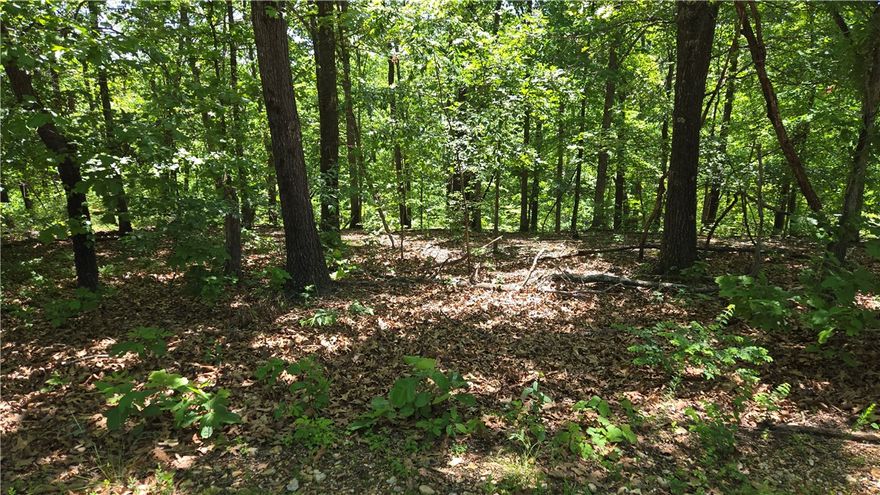 Discover the perfect spot to build your dream home on Lot 20 Tummell Dr in Bella Vista! This .33-acre lot offers convenient access to everything the area is known for, including nearby Loch Lomond, scenic walking and biking trails, golf courses, tennis courts, parks, restaurants, and endless outdoor recreation. Enjoy the peaceful setting while still being close to the amenities that make Bella Vista one of Northwest Arkansas’ most desirable communities. Looking for additional space or investment potential? Two adjacent lots, Lots 21 & 22, are also available — see MLS #1346783. Combined, all three lots total approximately .99 acres, creating an excellent opportunity for a larger homesite or future development. Don’t miss this opportunity to enjoy the Bella Vista lifestyle!