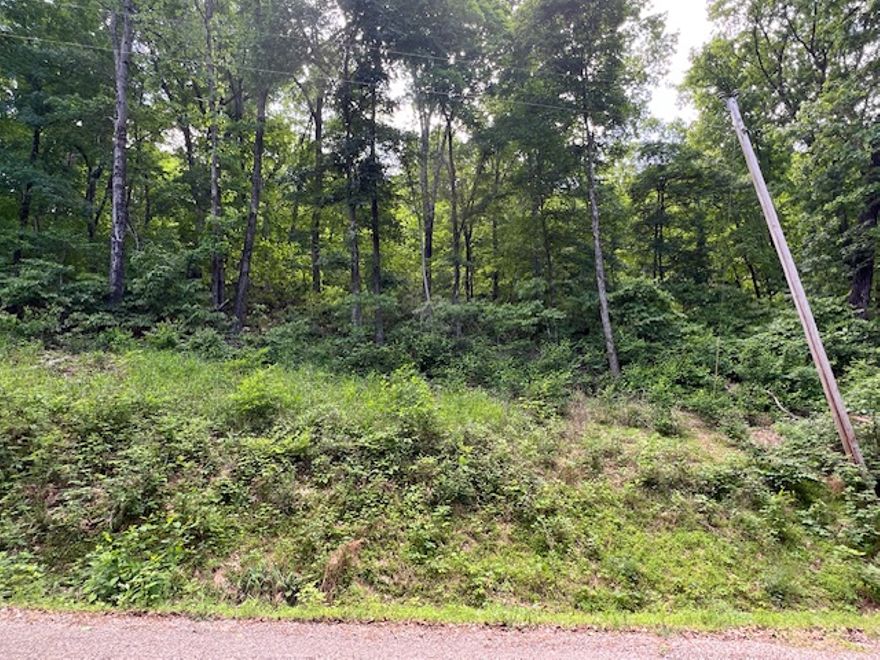 Wooded uphill laying lot that would give you a great view from your new home.  Utilities at the street.  The lot lays nice making a great spot for a home with a garage basement.  0.29 acres to stretch out on.  Amenities are close.   5 minutes from the marina, recreation center, swimming pools, fishing docks, park, golfing and more.  Less than 5 minutes to shopping and banking locations.  15 minutes to Eureka Springs.  45 minutes to Branson.  Perfect spot to live and play.  Call for your tour today.