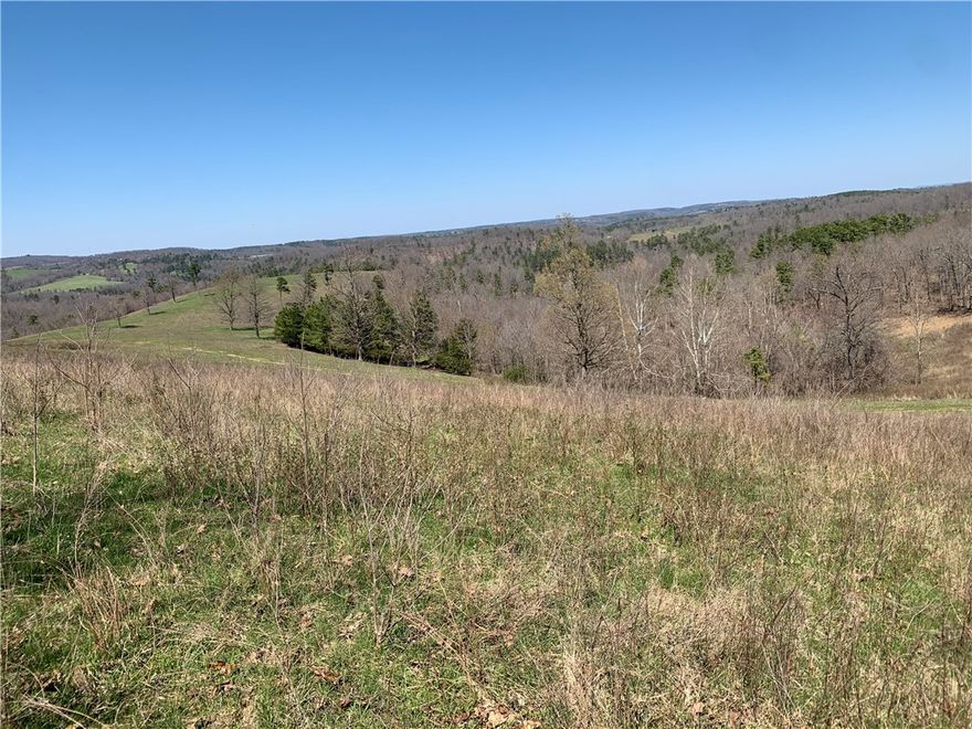 1564 acres next door to 14.000 acre wildlife area. Few hundred acres are cleared  rest is wooded. 14 ponds, bluffs, cave, miles of roads and trails. Several food plots deer, bear, turkey. 20 minutes to Eureka 65 minutes to Fayetteville.