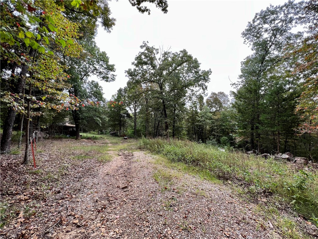 Welcome to the Ozark Mountains where you will find mature hardwoods and lots of wildlife. The cleared easement provides easy access to this fully fenced 20 +/- acres. This property sits between Kingston and Dryfork. Electricity is on site, ready to build your dream home or getaway cabin. There is a small wet weather stream that runs through the property. Come and enjoy privacy, peacefulness, and natural beauty. Please call for more information about the property.