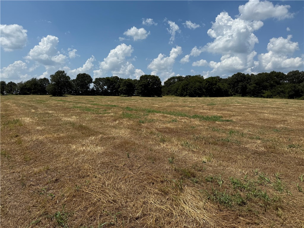 Discover your slice of country paradise! This 15+/- acre field offers unlimited potential—build your forever home, start that hobby farm you’ve been dreaming of, create a private hunting retreat, or simply relax and watch the wildlife. With water and electric at the road, it’s ready for your vision. Need more room? Additional acreage is available—call today! Property is agent-owned
See also MLS 1315040, 1315401 and 1316069