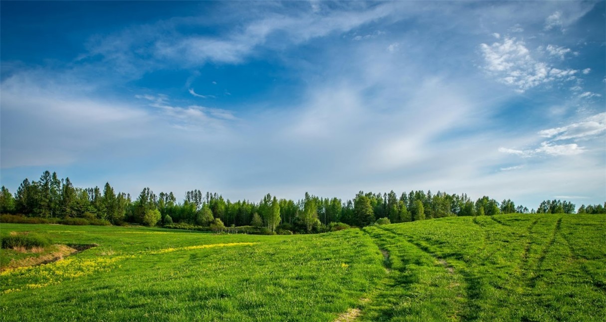 Rare opportunity—2 acres in Highfill with city water and electric already onsite, and residential zoning in place. This build-ready lot has been surveyed and is just waiting for your dream home plans. With a manageable size and a convenient location, it’s a great chance to secure land without the upkeep of a larger tract. The perc test has approved a 4-bedroom single family residence.