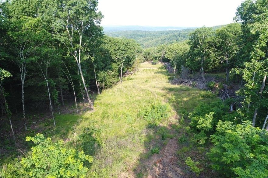 Do you love beautiful views from your back porch? Do you like to hunt, hike, ride UTV trails, search for arrowheads, put in a zipline, or have a shooting range to 300yds maybe? Would you like to buy a property that is priced well within the market price for a property of this caliber? This property has so many options, and has a view from the top that is exceptional. The hunting is diverse with deer, turkey, bear, and small game. Some trails are already in place with some areas cleared for cabin sites. The potential of the property is endless. The property is 12 minutes to Elkins High School, and approximately 30 minutes from Fayetteville. Please come see this property to answer the question: "Is this the right one"? Call agent to set up showing.