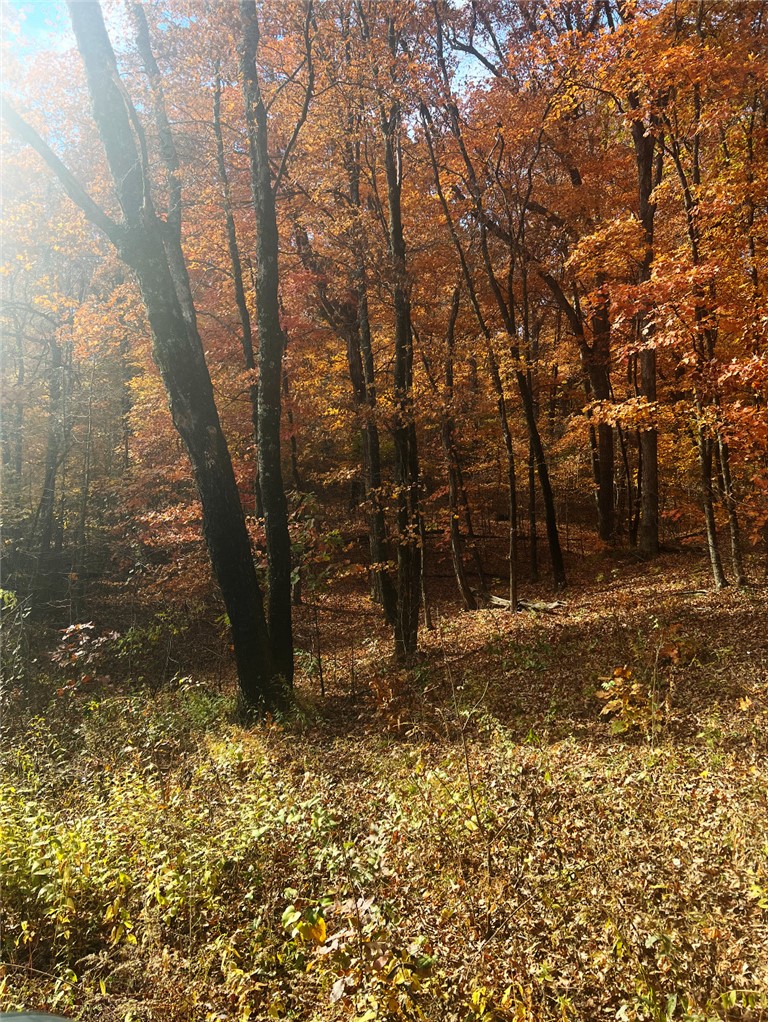 Stringer - Residential