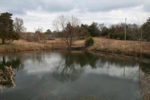 11 ACRES M/L READY FOR CATTLE OR HORSES WITH A POND. PROPERTY INCLUDES A SHED WITH A CHAIN LINK FENCED IN AREA. STILL HAS THE SLAB FOUNDATION WHERE THE ORIGINAL HOUSE BURNT. SEPTIC, ELECTRIC, AND WATER ALREADY ON SITE.