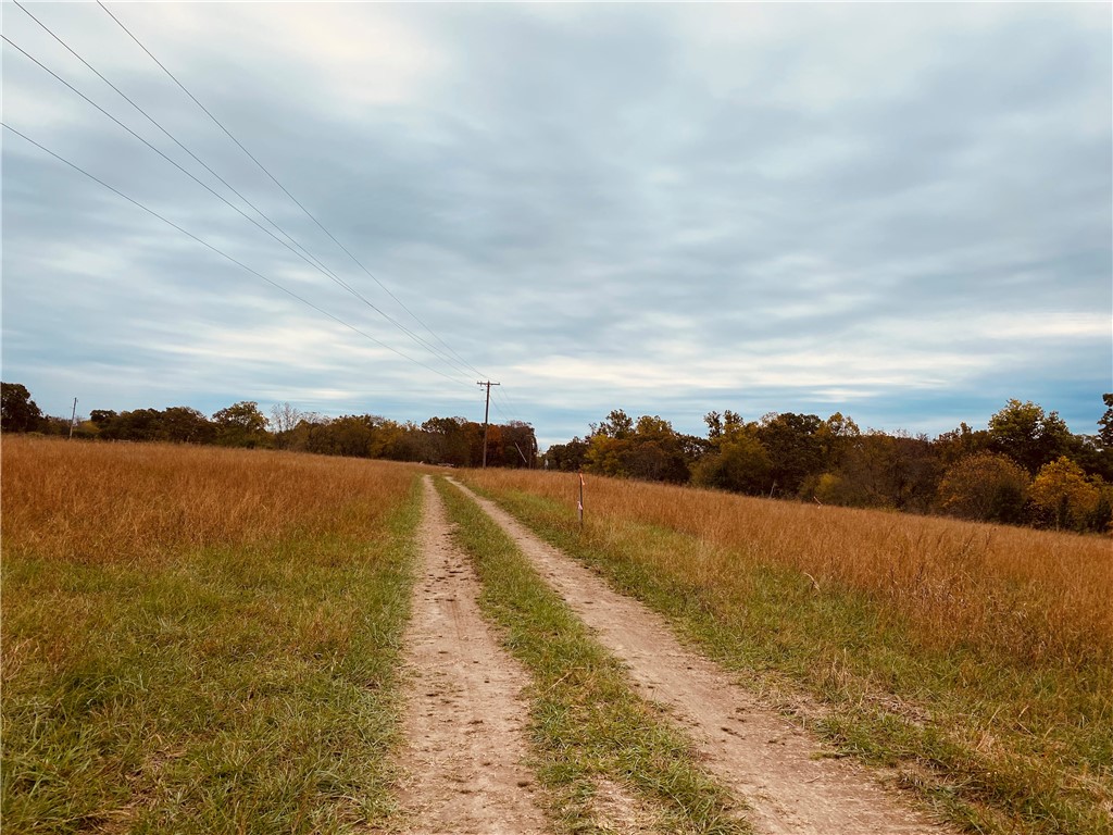 Hidden Forest Subdivision - Land