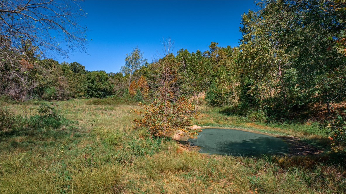 Beautiful and private 80 acres just half a mile down a gravel road. Land is gently rolling with woods and partial clearnings plus a pole barn, wet weather pond, and an almost 1900 square foot home. Acreage could be used for hunting or recreational activities, and home is in good condition. Seller will make no repairs.