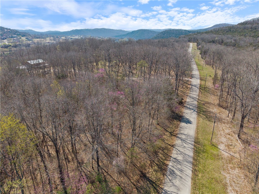 Oaks Landing On Table Rock Lake - Land