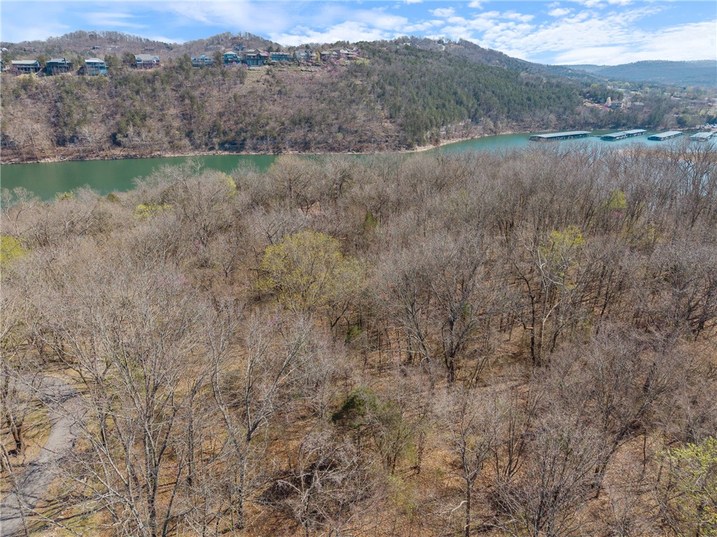 Oaks Landing On Table Rock Lake - Land