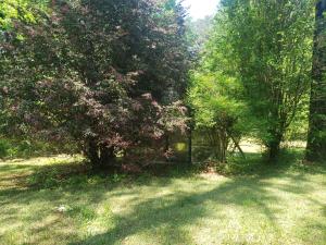 Other Subdivision - Residential