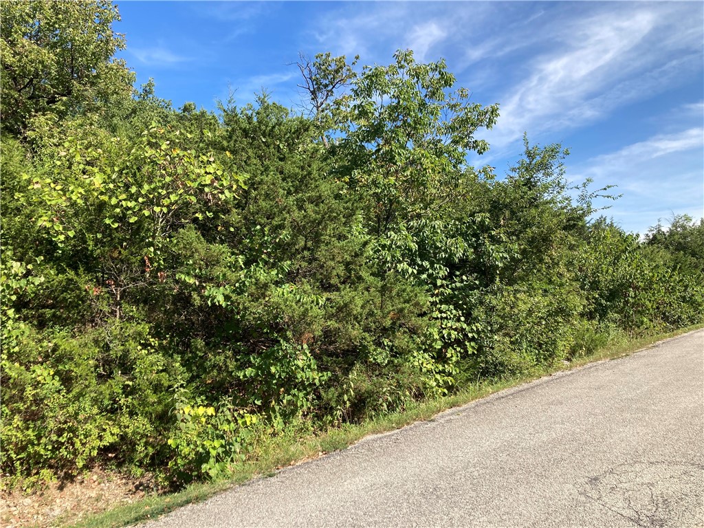 Unit 10 Holiday Island - Land