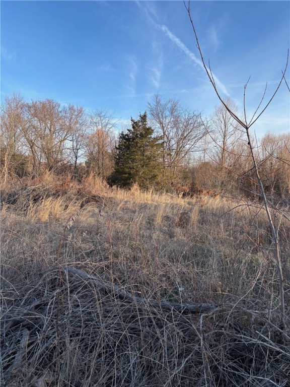 Red Bud Annex To Green Forest 2014 - Land