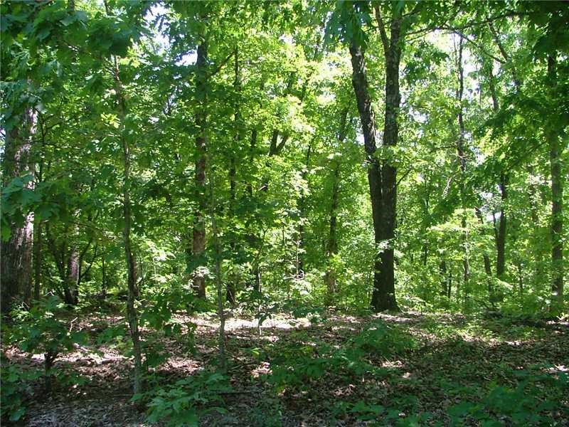 Beautiful Bella Vista lot with space behind for buffer. Slopped lot with level area at the street. Check it out...buy before the end of blackberry season! ...and don't eat all their blackberries when you check it out. :)