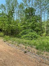 Posy Mountain Ranch Unit 9 Rurban - Land