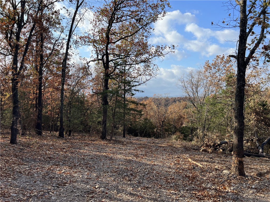 From Harrison take Cottonwood road to Right on Dubuque Road to Right on Jackson Ridge then go one mile and turn right then go to the property on the Right.