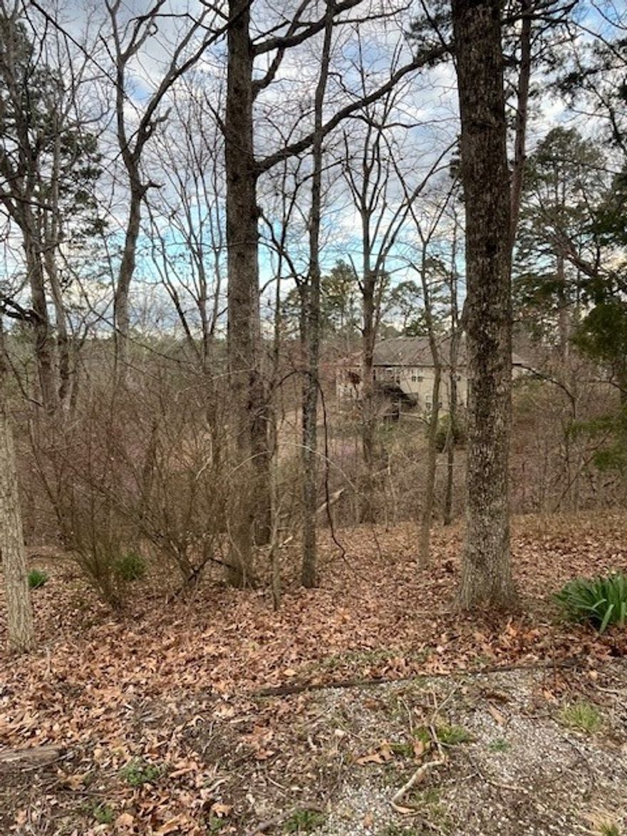 Great lot for building your new home.  .44 acre sewered lot.  Close to Tanyard Creek Nature trail, Hwy 71 and shopping. Enjoy all the amenities that Bella Vista Village has to offer. Access to 8 golf courses, 7 lakes, swimming pools, 100s of miles of world class bike & hiking trails, shooting range, rec centers, & more! Don't miss this investment opportunity! Additional parcel available MLS #1306957.  Bundle MLS#1307086.
