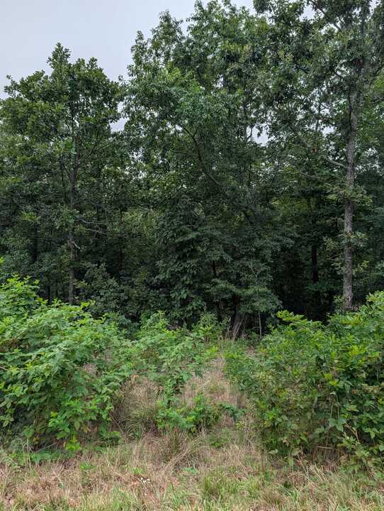 Photo 1 of 7 — Selkirk Drive, Bella Vista, AR 72715