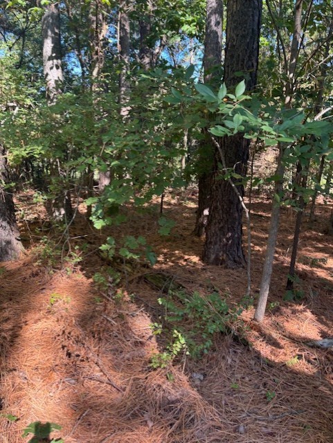 Brigadoon Sub Bvv - Land