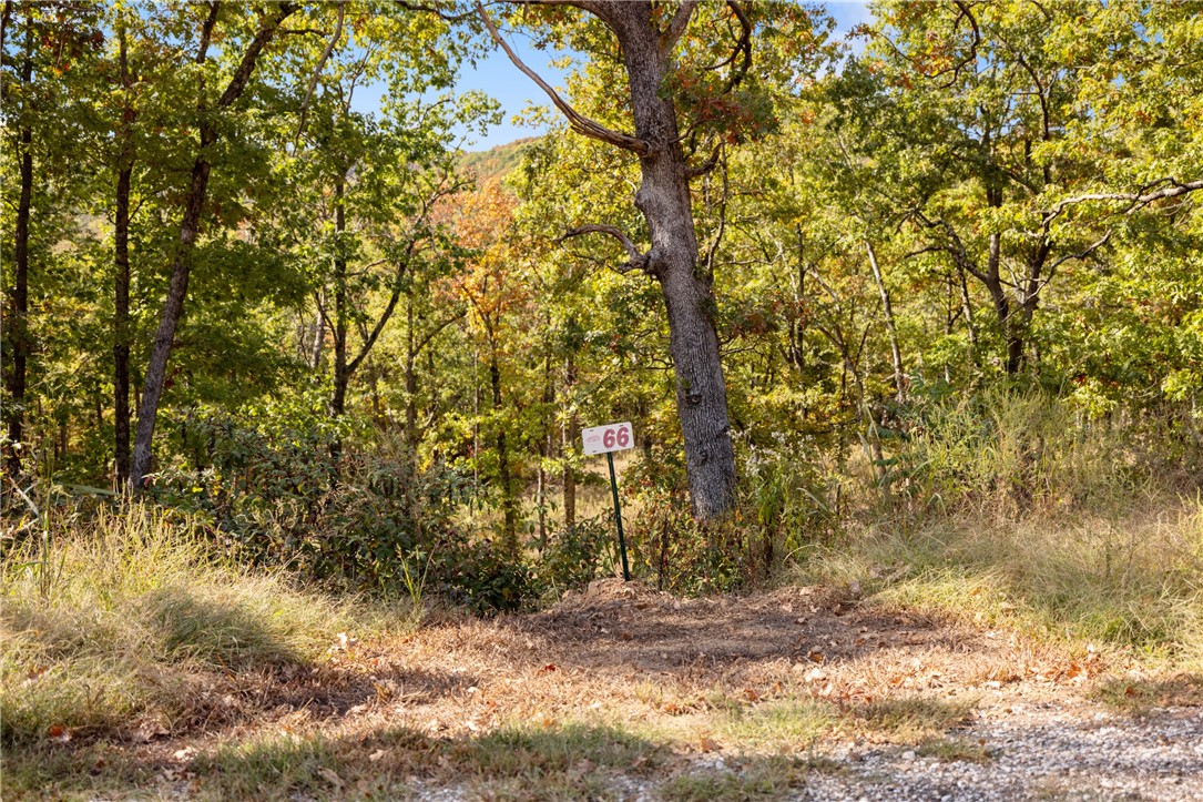One of the larger lots! Lot 66 (1.70 m/l ac) in Round Mountain Estates is partially wooded and has potential to have a pond if you desire one. This lot is shaded nicely by the towering trees and all utilities are on site ready for you to start building today! RME is a new, master planned, exclusive subdivision located 10 minutes west of Harrison, AR. The following utilities are already on site making the building process much easier for you; natural gas, fiber optic internet, electric, public water, and sewer. Interested in your family seeing the star lights instead of those city lights? RME is what you've been searching for! RME features a 350 +/- acre common area for its residents that includes a stocked fishing pond, Kissing Rock trail, natural springs to explore, Baby Canyon trail, incredible bluff lines to climb, and views for hundreds of miles that will not only take your breath away but will forever be etched in your memory! Neighborhood amenities coming soon.