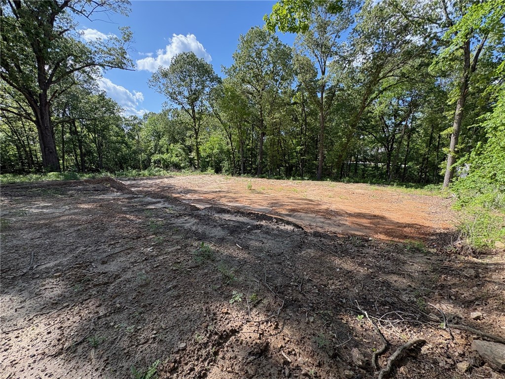 Beautiful, partially cleared lot just about a mile off Hwy 65. Initial dirt work started for the basement foundation pre. Peaceful setting balances natural beauty with build-ready space. Only 10 minutes to the heart of Harrison and 30 minutes to Branson. Electric and water available; septic needed. Great opportunity with strong building potential in one of Harrison's most invited and established neighborhoods. The neighboring lot is also available. Contact the agent for info.