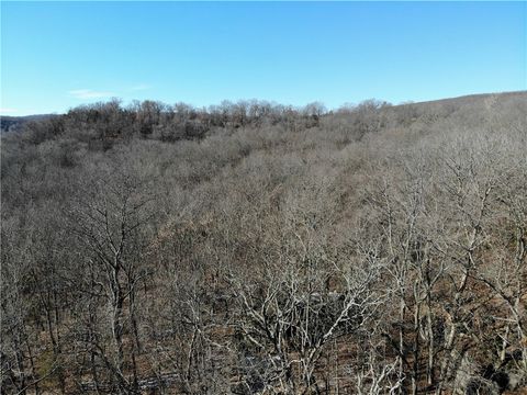 Unimproved Land in West Fork AR 11567 Brubaker Rd 7.jpg