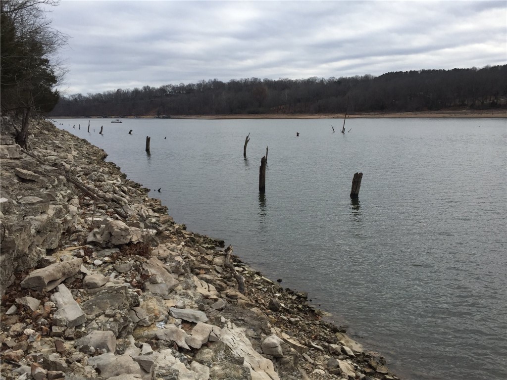 Build your dream home on this gorgeous piece of property overlooking Beaver Lake. 242 feet of shoreline and amazing views of the lake will be your paradise.