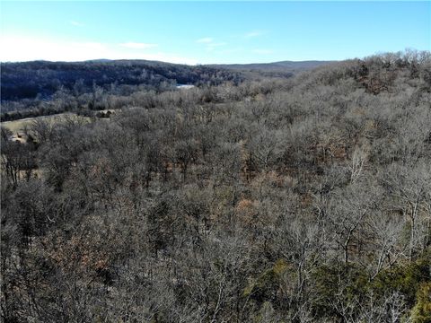 Unimproved Land in West Fork AR 11529 Brubaker Rd 7.jpg