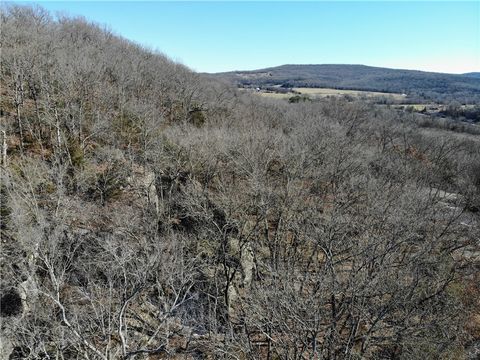 Unimproved Land in West Fork AR 11529 Brubaker Rd 6.jpg