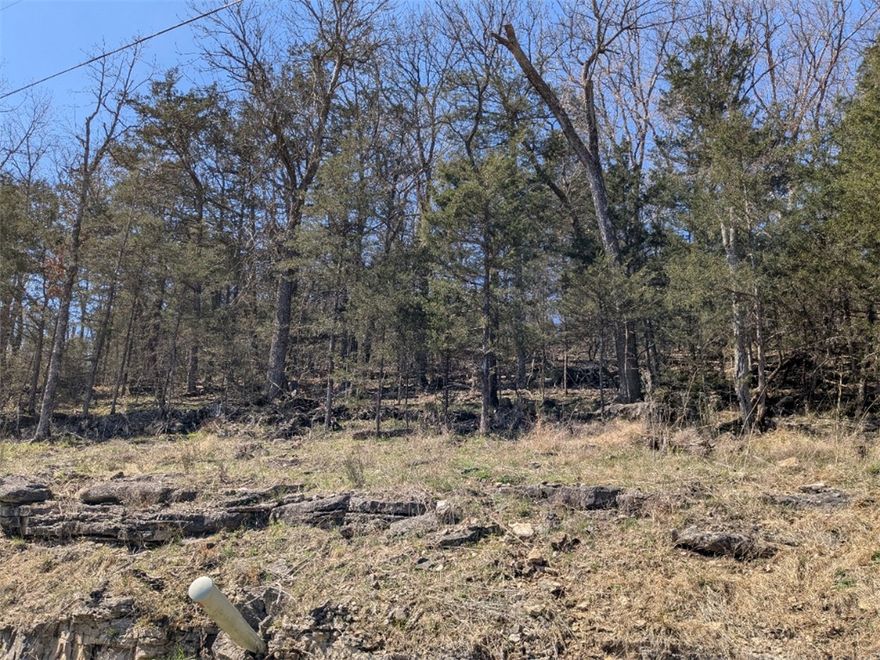 Ready to build your dream home? Quiet and gently wooded, this lot with water and electric available at the street gives you the best of both worlds. Enjoy the amenities in Holiday Island like golf courses, a country club, swimming, tennis and a marina with a fishing dock or watch the local fauna from your back deck! Nearby Eureka Springs or Rogers offer great shopping and vibrant cultural hubs.