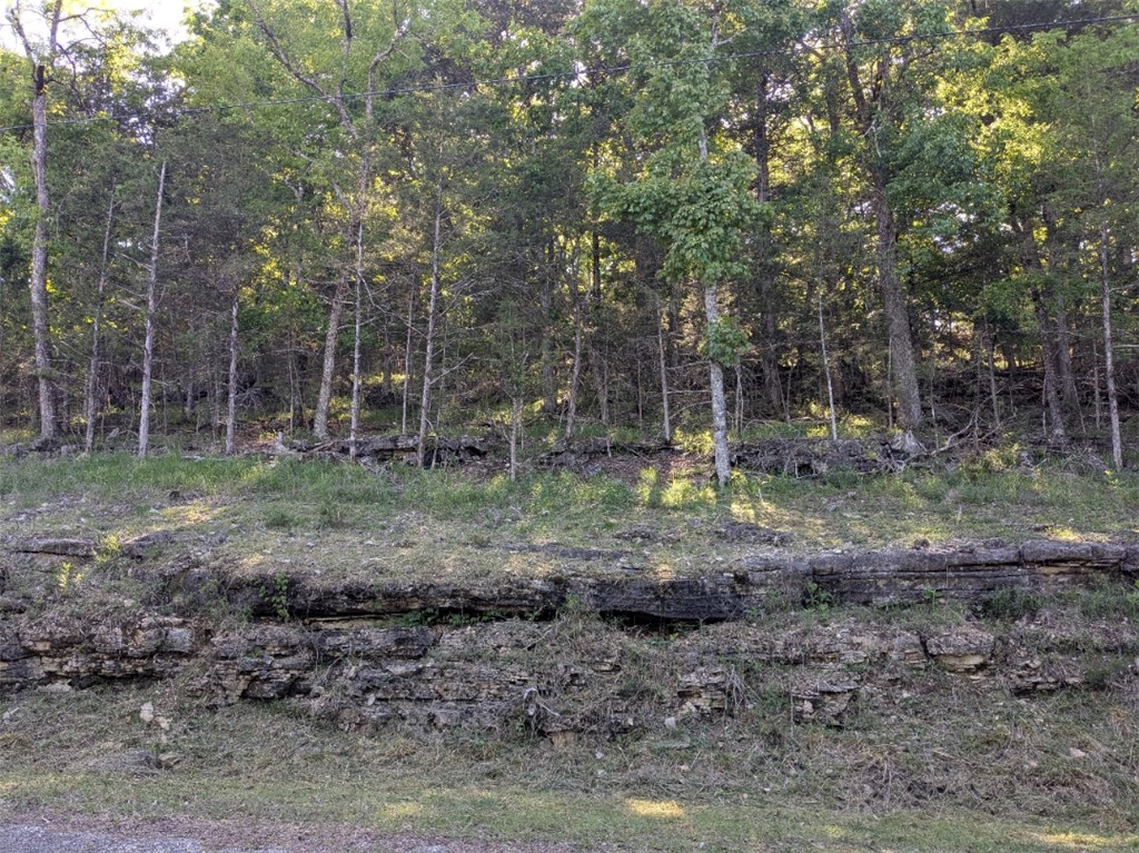 Unit 114 Holiday Island - Land