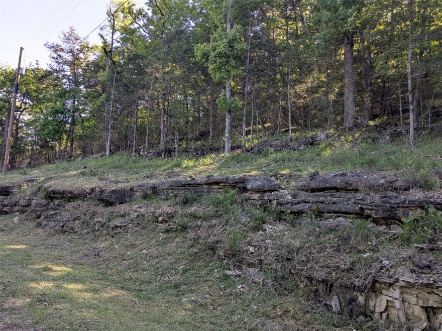 Ready to build your dream home? Quiet and gently wooded, this lot with water and electric available at the street gives you the best of both worlds. Enjoy the amenities in Holiday Island like golf courses, a country club, swimming, tennis and a marina with a fishing dock or watch the local fauna from your back deck! Nearby Eureka Springs or Rogers offer great shopping and vibrant cultural hubs.