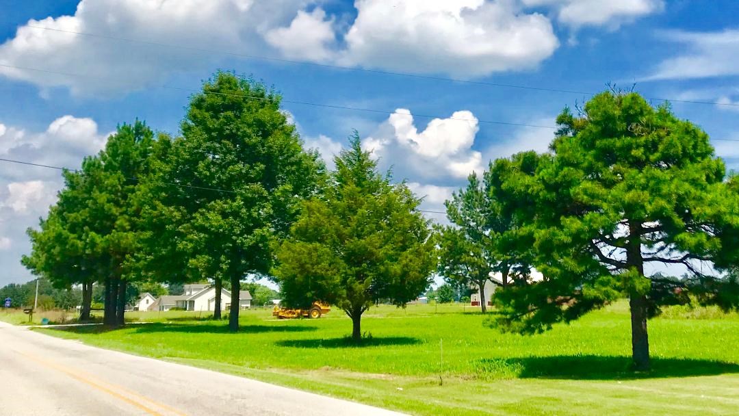 Dream Home ready ~ 1.98 level land on Harmon Road ~ Splits possible ~ Water and electric on site ~ big trees on flat clear spacious lot ~ Paved road ~ located in area of nice homess ~ Grab it while you can, not many of these left in the area