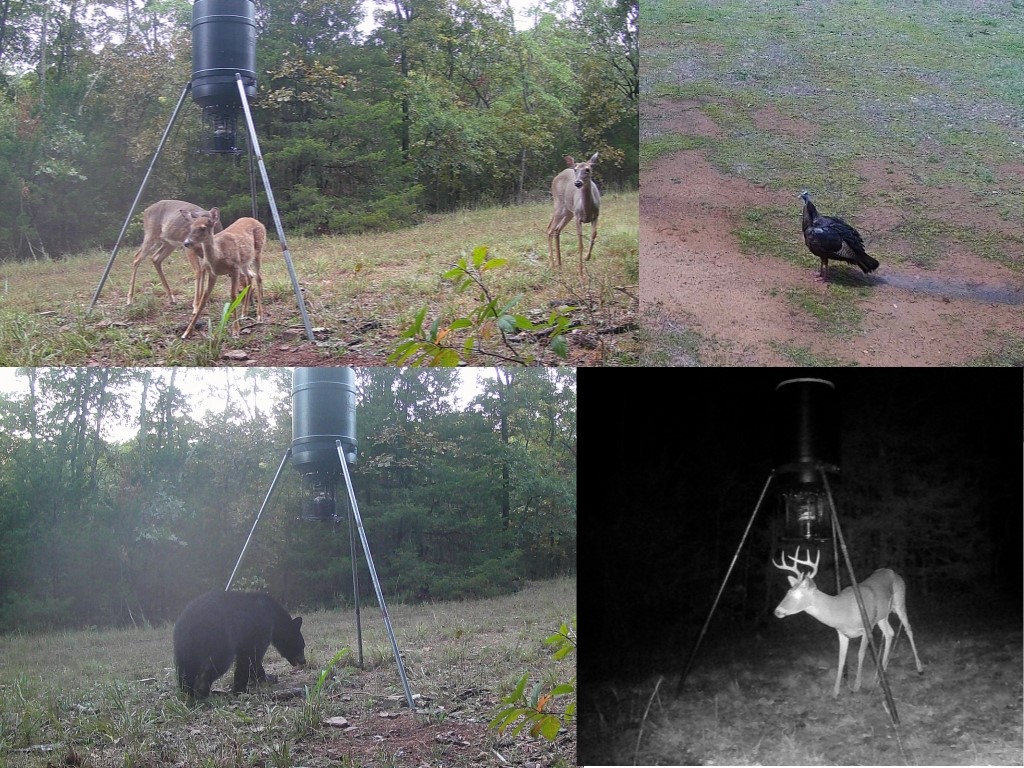 18-15-29 - Residential