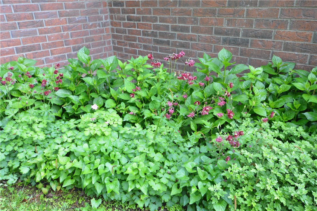 Rosson Creek Sub Springdale - Residential