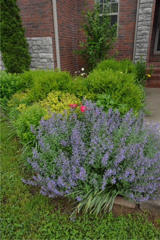 Rosson Creek Sub Springdale - Residential