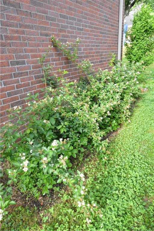 Rosson Creek Sub Springdale - Residential