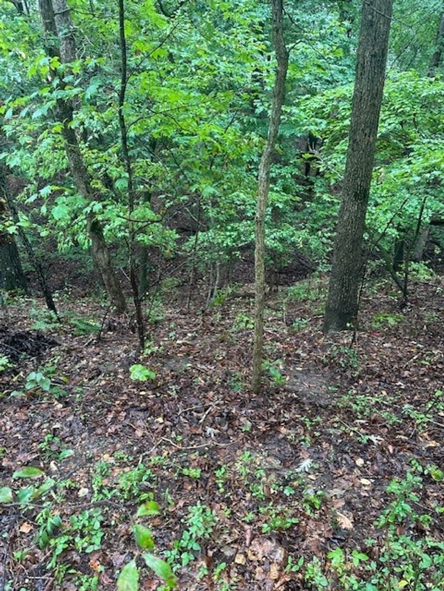 Good buildable lot, steep in back. Great neighborhood. Close to trails and just below Lake Rayburn.