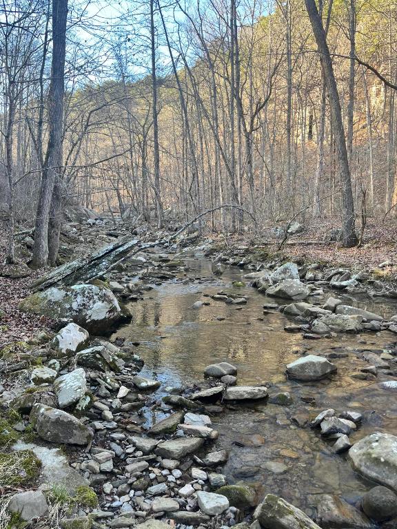 40 acres M/L in stone county arkansas.
