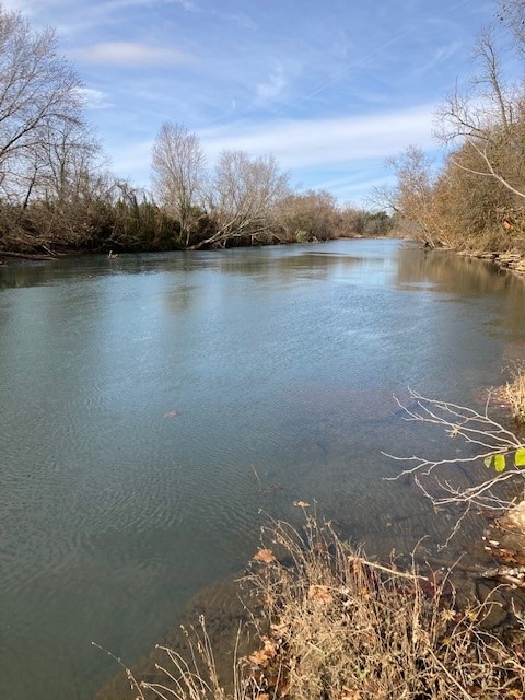 Over the river and through the woods and circle back around to your very own White River frontage with this 11.59 Acres near Elkins. Build your home on the high ground (1500 sq. ft minimum) and design your outdoor fireplace/firepit and living area along the river for fishing and fun with friends. Your modern rustic home plan just doesnāt find a better setting than this. No appointment required for qualified buyers to see. Your Realtor can send you directions, copies of existing survey, county maps and protective deed restrictions etc.