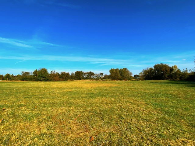 This incredible piece of property has over 200 feet of frontage on Highway 412, just a short drive from I-49. It features over 7 acres of excellent property that has already been zoned commercial for a multitude of conforming uses in the city of Tontitown. Surrounded by the rich heritage of Tontitown businesses you will find yourself in the middle of one f the fastest growing areas of Northwest Arkansas.