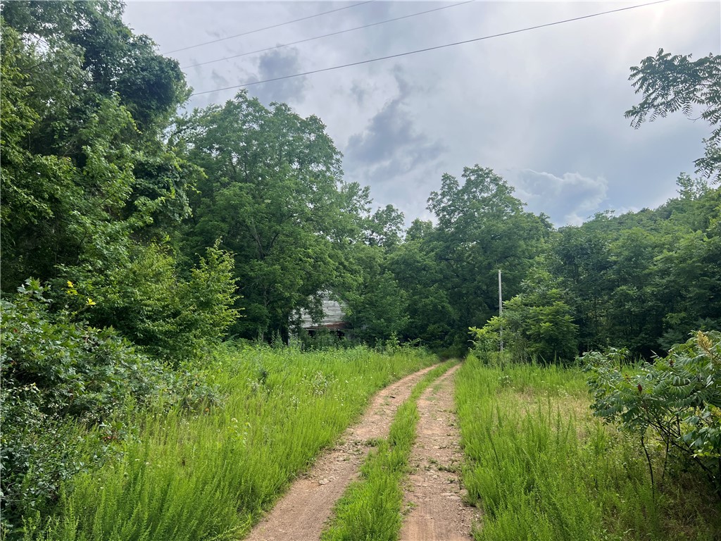 Looking for a great place to hunt this fall? This serene 11.34 acres is perfect for setting up your deer camp. Sit, relax in your stand and listen to the peaceful Goodluck Creek that runs along the acreage. Enjoy the abundance of trees for added privacy and explore a few caves scattered throughout the property.
Home, also known as Goodluck Schoolhouse, and land to the left of the road IS included in list price. No access to home until closing, sold as is where is. Electric and well water on property, plus rural water tap available at corner of Madison 6388 and 6341.