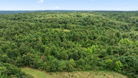 79.30 Acres Styles Road Noel MO 64854