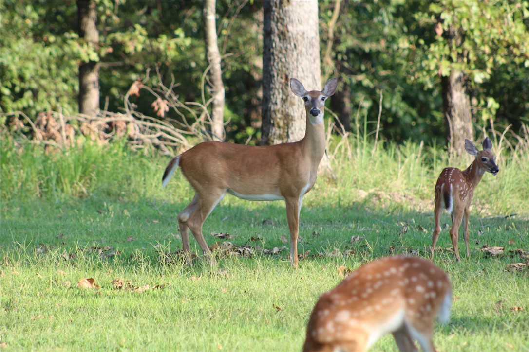 Northridge Heights - Residential