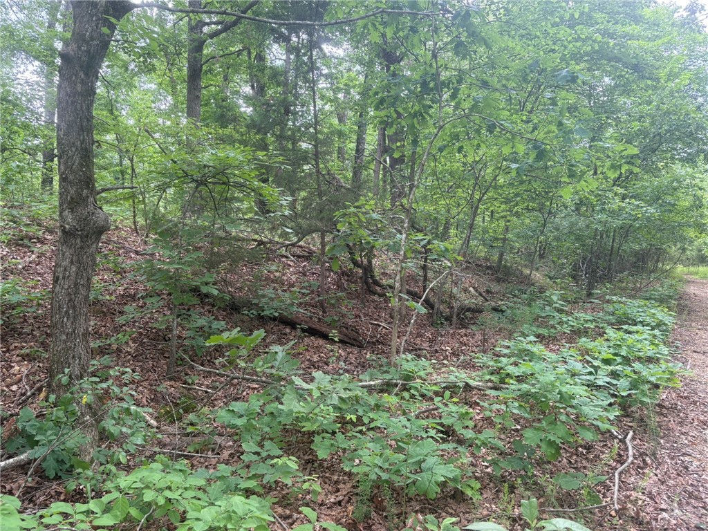 Build your dream home on this secluded, wooded lot. Close to the Back 40 trailhead and 8 minutes from Town Center. Enjoy al Bella Vista has to offer!