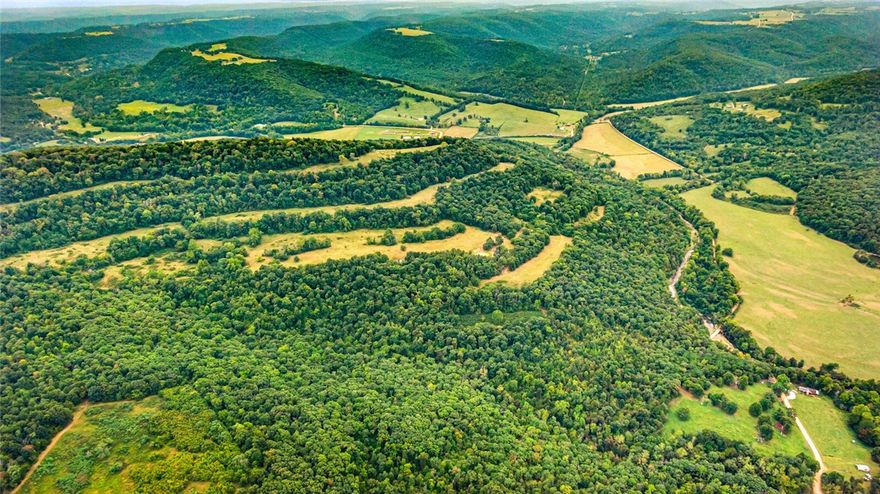 Breathtaking mountain views for days with this expansive 116-acre property, overlooking the heart of Hazel Valley. Possibilities are endless, whether you are building  your dream home , running a thriving cattle farm or seeking a prime hunting retreat, this land offers endless possibilities. 20 minutes  from Elkins and the Mill Creek area. Plenty of room for a helicopter pad. 

Don’t miss this opportunity to own a slice of paradise in Hazel Valley. Your dream retreat is just waiting to be realized!