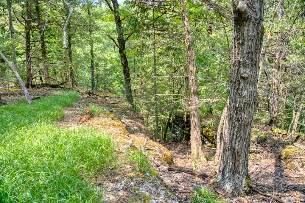 Big Clifty Shores Unit ` - Residential