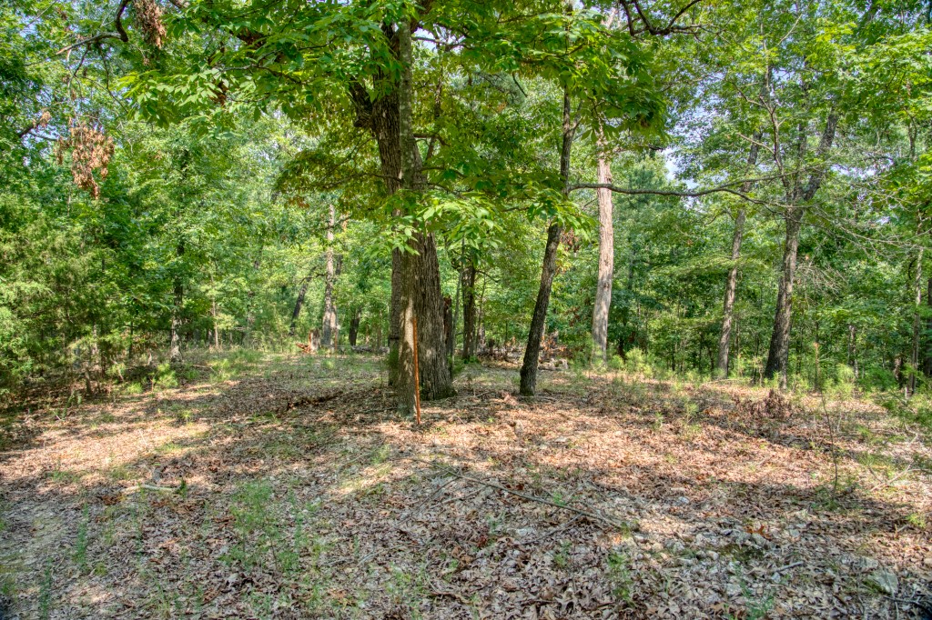 Big Clifty Shores Unit ` - Residential